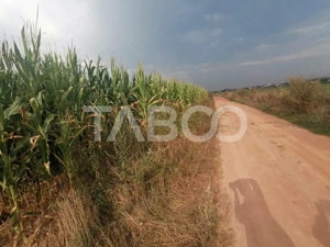 Teren de vanzare 18.844 mp zona Turnisor Sibiu - imagine 3