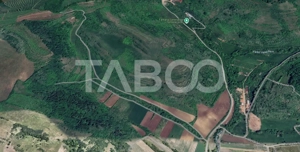 Teren extravilan de vanzare 10000 mp zona Gusterita - imagine 2