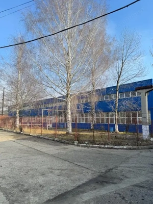 Vanzare/inchiriere FABRICA cu 3 HALE si BIROURI, zona industriala mun. VASLUI - imagine 7