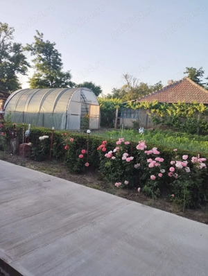 Casa la tara 15 km de Lehliu  - imagine 4