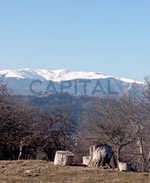 Casă de vânzare în Câmpulung Muscel, Argeș - imagine 5