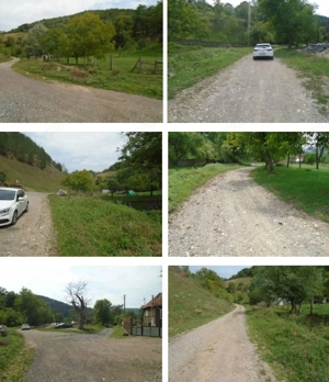Teren extravilan-Loc. Roscani, comuna Dobra, judetul Hunedoara; - imagine 5