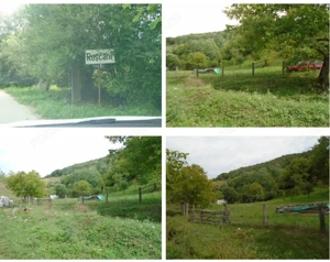 Teren extravilan-Loc. Roscani, comuna Dobra, judetul Hunedoara; - imagine 4