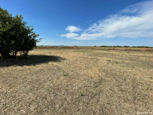 Teren Săcălaz - imagine 4