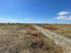 Teren Săcălaz - imagine 2