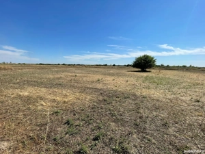 Teren Săcălaz - imagine 3