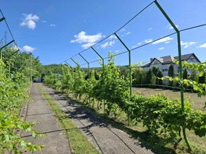 Comision cumparator 0%, Casa parter si etaj , mobilata si utilata  - imagine 26