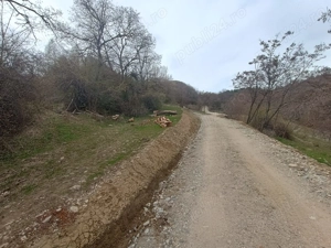 Terenuri de vanzare Nucsoara - imagine 7