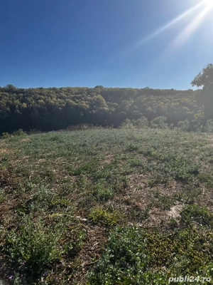 Vand Teren Intravilan - imagine 5