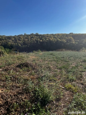 Vand Teren Intravilan - imagine 4