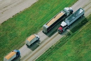 Angajam Mecanic - Siloz Bunge Iasi - imagine 3