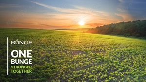 Angajam Mecanic - Siloz Bunge Iasi - imagine 4