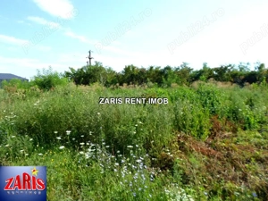 Teren intravilan de vanzare in Tatarani, Prahova