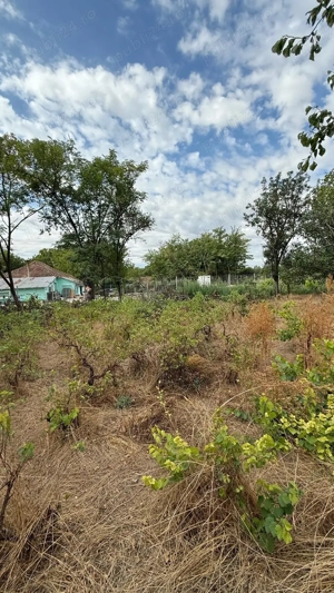 Casa cu teren Valcelele, Calarasi. - imagine 4