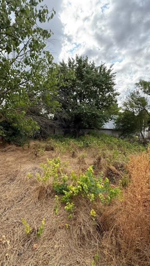 Casa cu teren Valcelele, Calarasi. - imagine 5