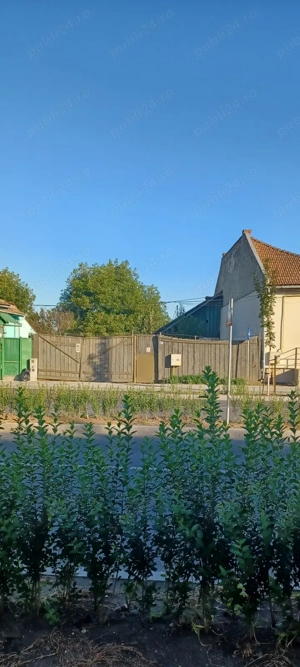 Vind teren intravilan 3413 mp - imagine 3