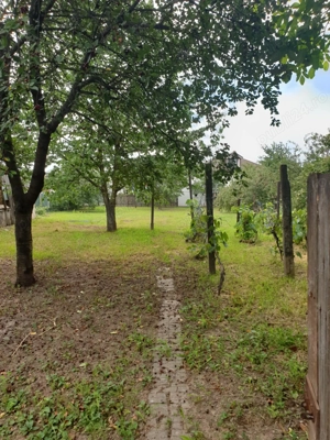 Vand casa 3 camere Roman  - imagine 4