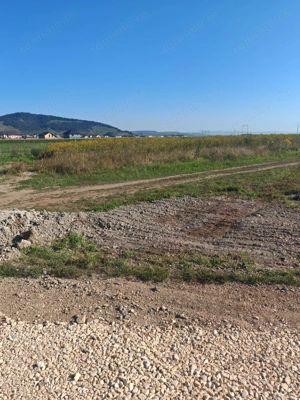 Teren Intravilan de vanzare