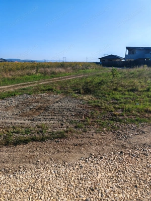 Teren Intravilan de vanzare - imagine 4