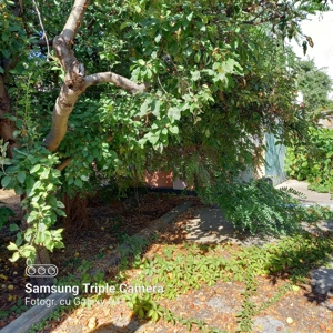 Vanzare teren Fundeni, sector 2 - imagine 4