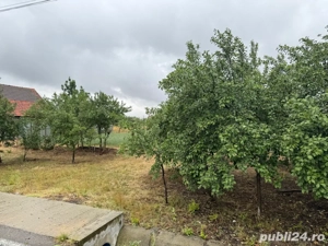 Vand teren intravilan (plaț)