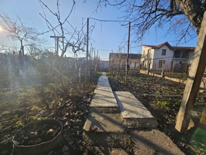 Casa Individuala, la intrarea in Ghiroda, pe CF de Timisoara. Gradina generoasa - imagine 11