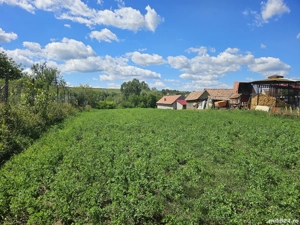 Vând teren intravilan 4524 m  - imagine 3