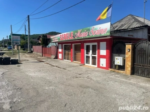 Propietate de vanzare,cu spatiu comercial 47mp, stradal dn7 pitesti Valcea,dupa hanul valea ursului! - imagine 10