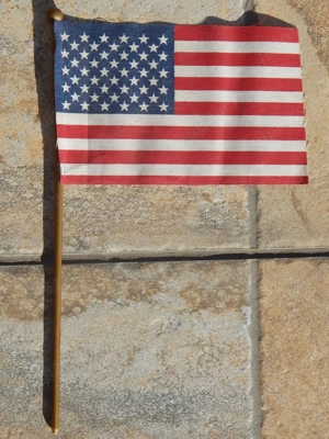 Steag SUA material textil (15.5x9.4cm)