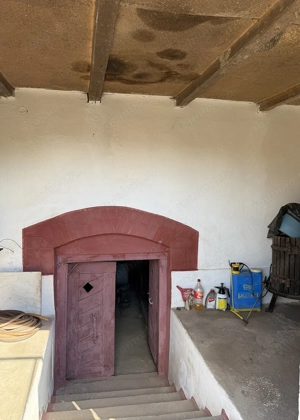 Casa cu teren 8000 mp. - Cetariu - IMOBIHOR  - imagine 6