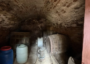 Casa cu teren 8000 mp. - Cetariu - IMOBIHOR  - imagine 7