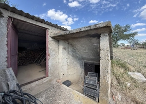 Casa cu teren 8000 mp. - Cetariu - IMOBIHOR  - imagine 13