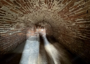 Casa cu teren 8000 mp. - Cetariu - IMOBIHOR  - imagine 12