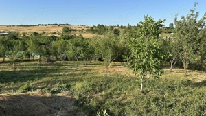 De vânzare casă sat Tes, aproape de Timișoara   Topolovățu Mare - imagine 4