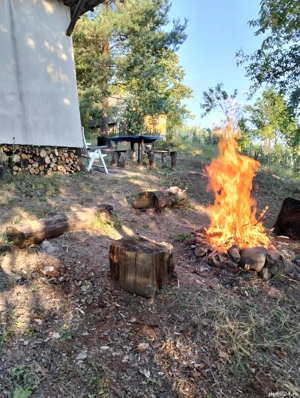 vând teren extravilan în Tăuții Magherausi  - imagine 2