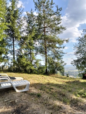 vând teren extravilan în Tăuții Magherausi 