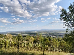 vând teren extravilan în Tăuții Magherausi  - imagine 3