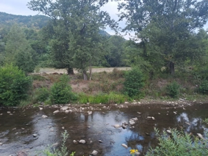 Vând teren  4 euro mp MEHADIA la 8 Km de Băile Herculane - imagine 2