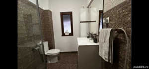 vand vila dumbravita padure - imagine 14