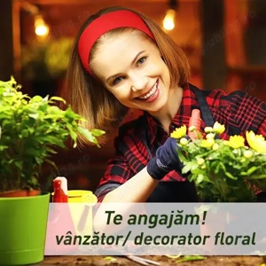 Vanzator in magazine de plante si flori - Floraria Trias