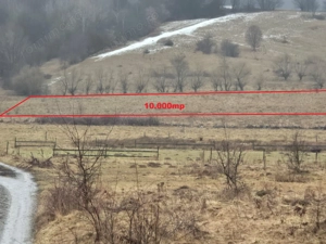 Teren de vanzare Rasnov - imagine 2