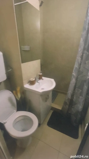 apartament 2 camere Trivale - imagine 3