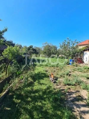 Casa cu spatiu comercial de vanzare in Sebes zona centrala - imagine 18