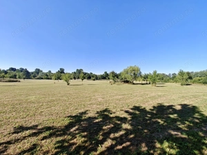 De vânzare: Teren 12.600 mp – Ghiroda - Comision 0% - imagine 6