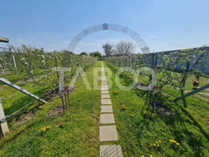 Vila cu piscina de vanzare in Sebes zona centrala - imagine 9