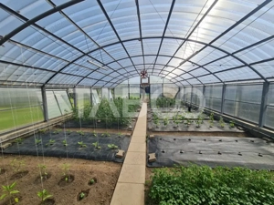 Vila cu piscina de vanzare in Sebes zona centrala - imagine 20