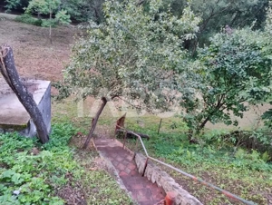 Cabana de vanzare in Ciuleni-Toplita langa lacul Cincis - imagine 18