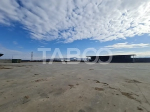 Spatiu industrial de inchiriat in Sebes judetul Alba - imagine 7