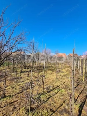 Casa de vanzare in comuna Cut Judetul Alba - imagine 10