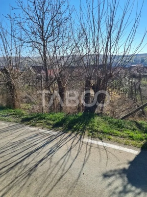 Casa de vanzare in comuna Cut Judetul Alba - imagine 12